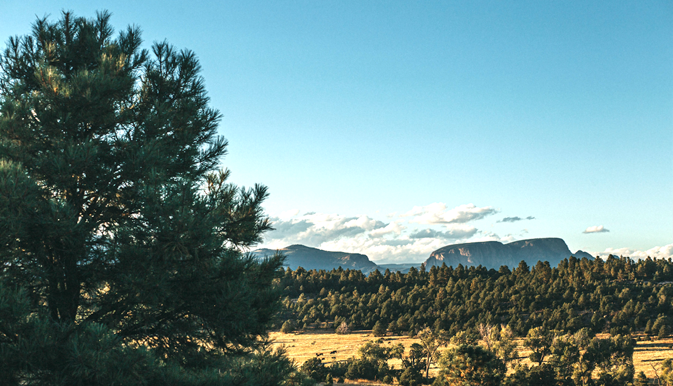 Juniper Wood Ranch Arizona Recently Sold Homes In Juniper Wood Ranch