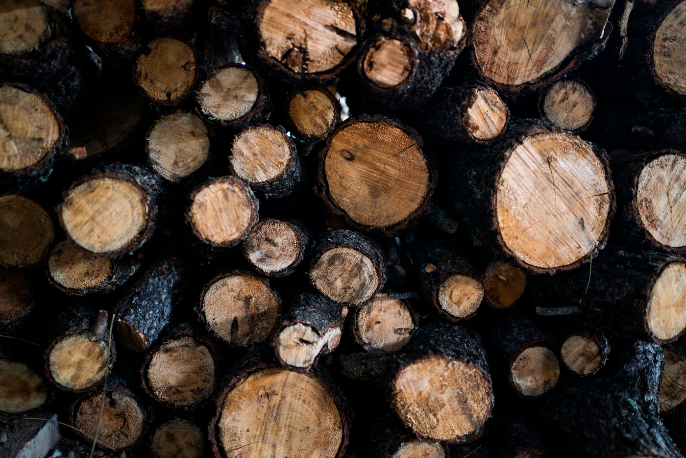 Fatwood Kindling