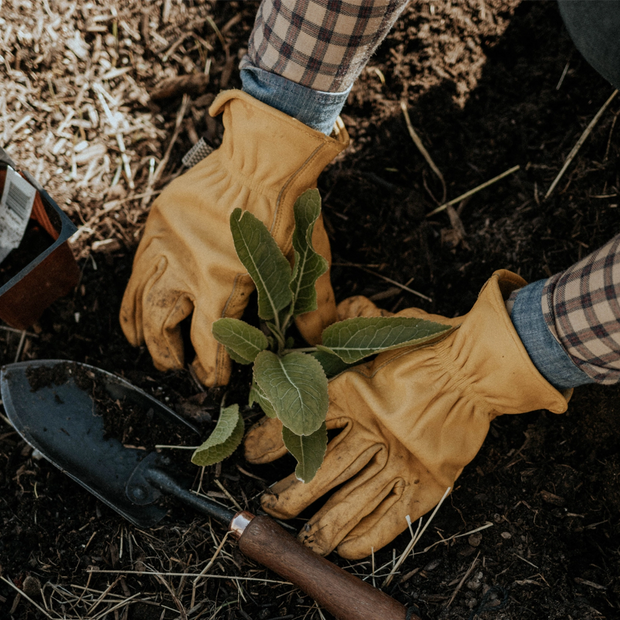 Classic Work Gloves